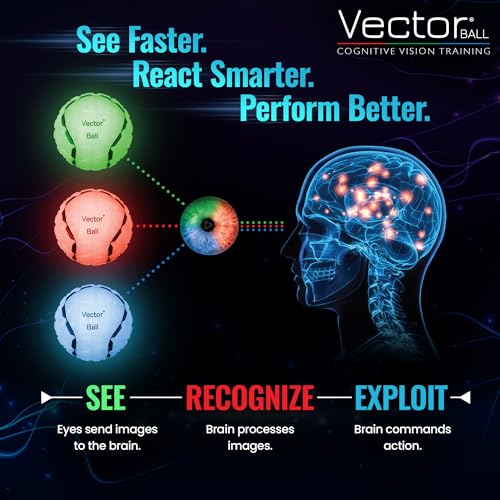 Vector Ball S Neuro-Visual Reaction Ball - Green, Red & Blue