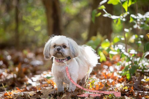 Ohio State Buckeyes Dog Leash - Medium NCAA Licensed