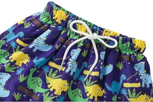 Boys Swim Trunks - Toddler Broad Swim Shorts UPF50+ - Dinosaurs B / 3-4T