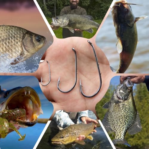 Baitholder Fishing Hooks - 50 Pcs Offset Double Barbed Saltwater