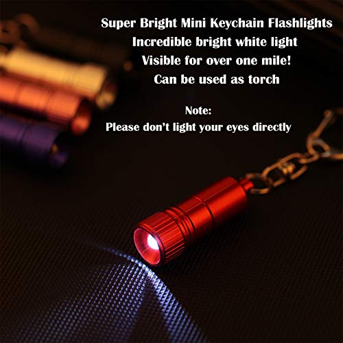 Mini LED Keychain Flashlight with Hook - Portable, Bright, Battery Included