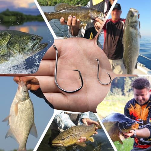 Circle Fishing Hooks 2/0 - 50 Pcs Strong Saltwater Rigs