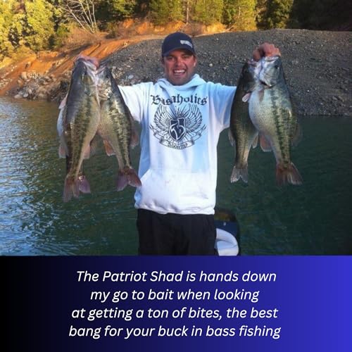 USA Bass Tackle Patriot Shad 1/2oz 3.5