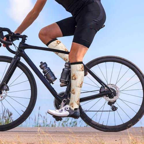 Compression Socks for Men & Women - Knee High Support - One Size Bear