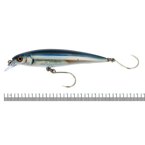 Rapala X-Rap Long Cast 14 Anchovy