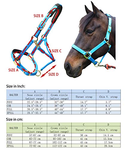 Adjustable Horse Halter - Heavy Duty Nylon with Padded Neoprene - Black, Full (L)
