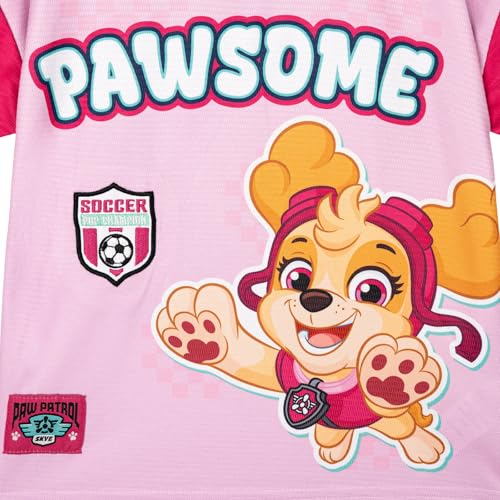 Paw Patrol Toddler Pink Mesh Soccer Jersey Skye 4T Athletic T-Shirt for Kids