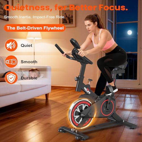 Quiet Exercise Bike for Home - Friction Stationary Bike - Black