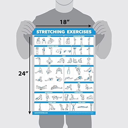 QuickFit Stretching Workout Exercise Poster - Laminated 18" x 24"