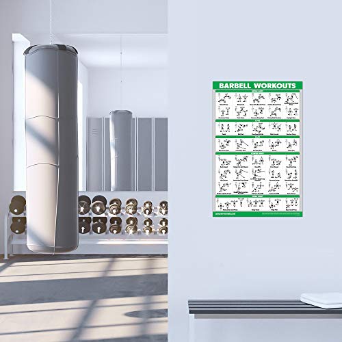 10 Pack Exercise Workout Poster Set - Laminated 18" x 24"