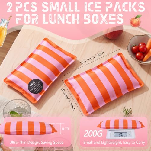 2 Pcs Ice Packs for Lunch Box Bag