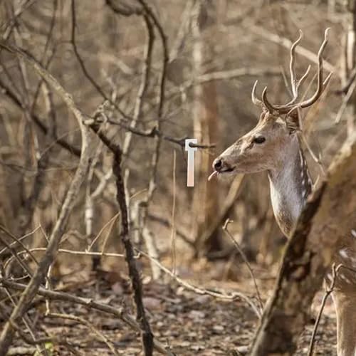 Thickened Deer Scent Wicks - 14 Square Reusable Absorbing Wicks