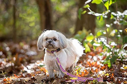 NCAA Dog Leash - Medium LSU Tigers, Durable Heavy-Duty Nylon