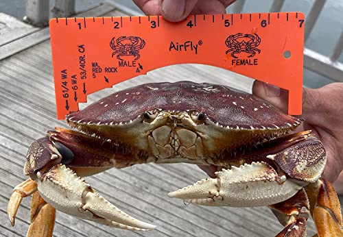 Crab Gauge Measuring Tool - Dungeness, Rock & Blue Crab - 1-Pack Orange