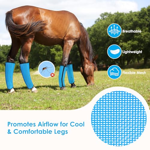 Horse Fly Boots Set of 4 - Curved-Edge Design, Breathable Mesh, Blue - Medium