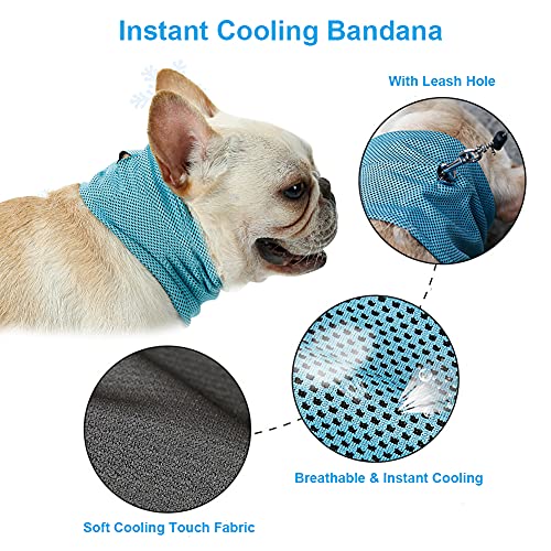 Dog Cooling Bandana Collar - Instant Cooling Scarf for Medium Dogs, Blue