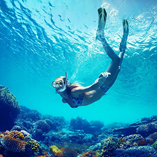 Travel Size Snorkeling Gear Set - Grey ML/XL - Anti-Fog Mask, Trek Fins, Dry Top Snorkel