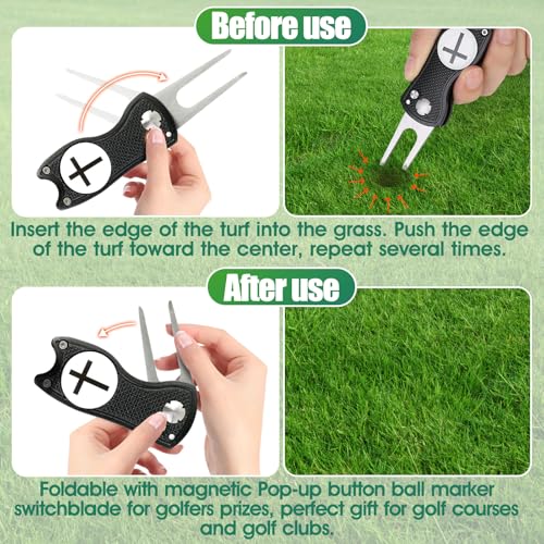 Golf Divot Repair Tool with Magnetic Ball Marker - Black