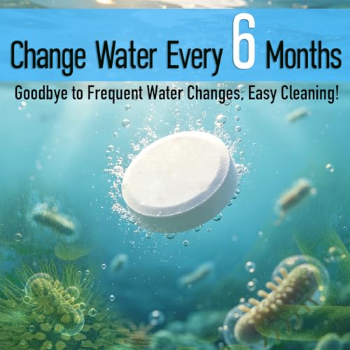 Water Purification Tablets - Bulk Pack for Rowing Machines (20 Count)