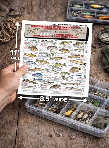 Freshwater Fish Identification Chart - Waterproof Reference Guide