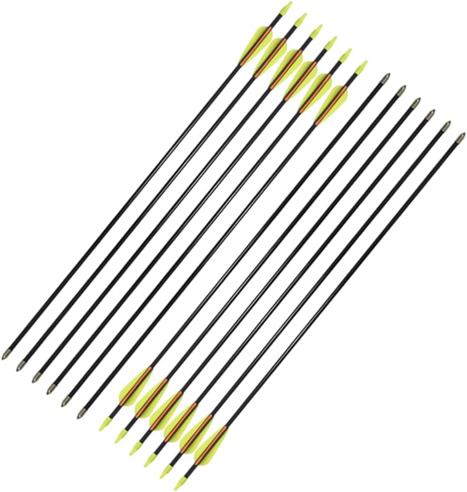 Practice Fiberglass Arrows - Archery Target Shooting for Youth & Beginners | 24/26/28/30 Inch, 6/12 Pack