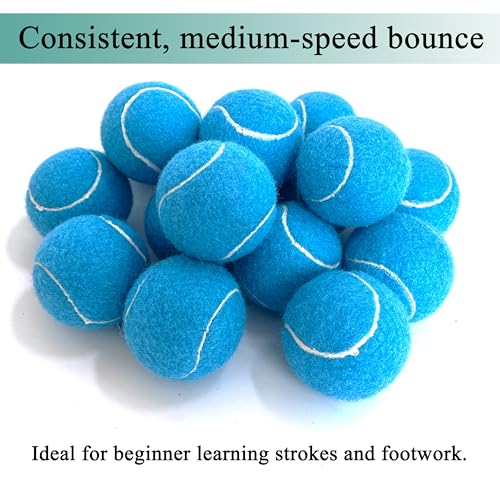 High Visibility Tennis Balls 4 Pack - Advanced Training Balls for Dogs - Blue