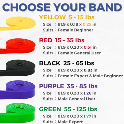 LEZER Resistance Bands - Pull Up for Home Gym Fitness, Stretching,
