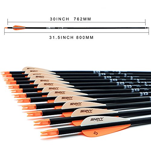 30" Carbon Arrows - 12 Pack for Compound & Recurve Bows