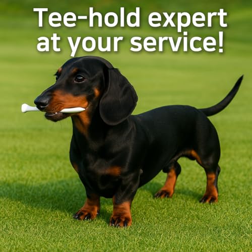 Dachshund Golf Tee Leash and Anchor – Anti-Loss Tether – Dark Brown