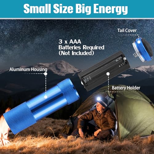 VIHOSE 32 Pcs Mini Flashlights Bulk, Bright Aluminum Handheld Flash Light with Lanyard Small LED Flashlights for Night Reading Emergency Hurricane Camping Hiking, Batteries Not Included(Fresh Color)