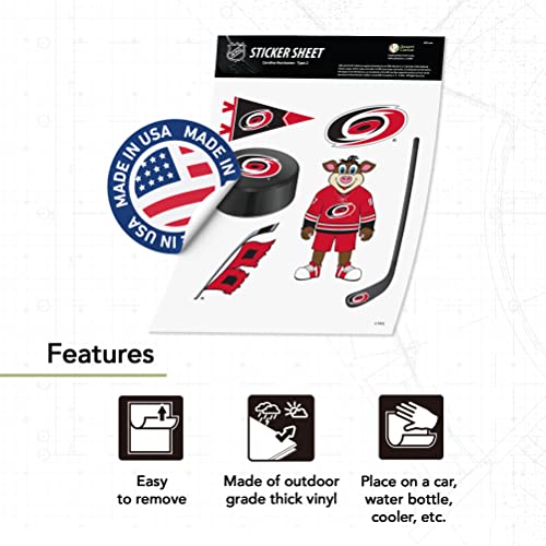 Desert Cactus Carolina Hurricanes Team NHL National Hockey League Sticker Vinyl Decal Laptop Water Bottle Car Scrapbook (Type 2)