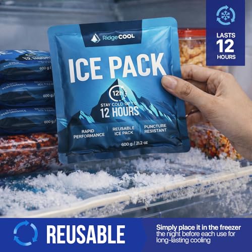 RIDGECOOL 4-Pack Large Reusable Ice Packs, 600g Each | 9.8 x 8.6 in, Leakproof & BPA-Free for Coolers
