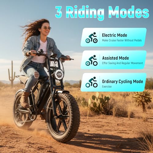 Electric Fat Bike - 48V 15Ah Battery, 1500W Motor, Dual Suspension - Black