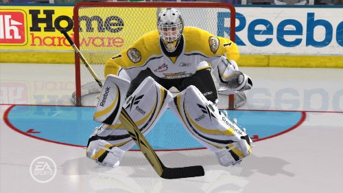 NHL 11 Video Game for Playstation 3 - Real-Time Physics Engine