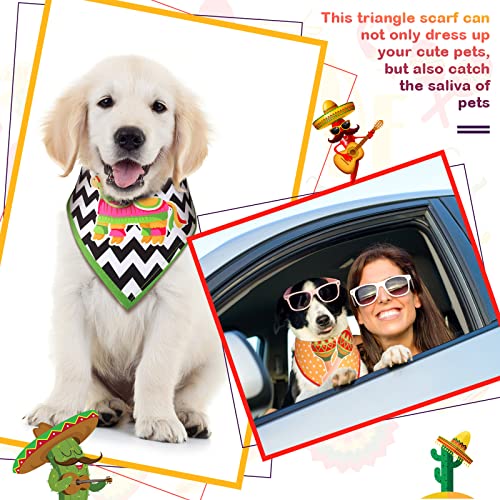 Cinco De Mayo Dog Bandanas - 3 Pack Taco Cactus Design