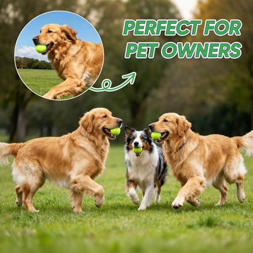 High Bounce Tennis Balls for Beginners - Yellow, 3-Pack