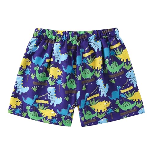 Boys Swim Trunks - Toddler Broad Swim Shorts UPF50+ - Dinosaurs B / 3-4T