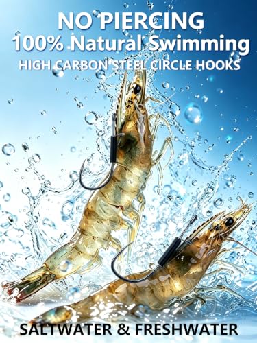 No-Kill Live Shrimp Hooks - High Carbon Steel Circle Hooks, Small Set (2/0, 10pcs)