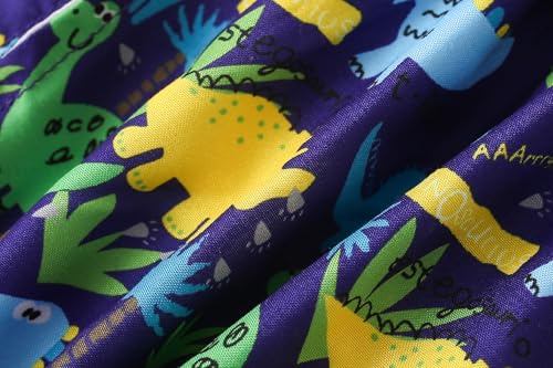 Boys Swim Trunks - Toddler Broad Swim Shorts UPF50+ - Dinosaurs B / 3-4T