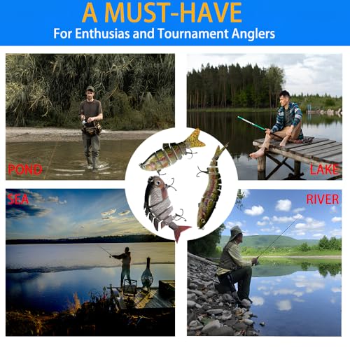 6 Pcs Fishing Lure Set with Hard Plastic Tackle Box for Saltwater & Freshwater Bass Trout