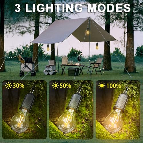 4 Pack Camping Lights Rechargeable, Hanging Tent Lights Bulb with Hook, Timer Function, 3 Lighting Modes Tent Lamp for Camping, Hiking, Backpacking, Emergency Outage (White)