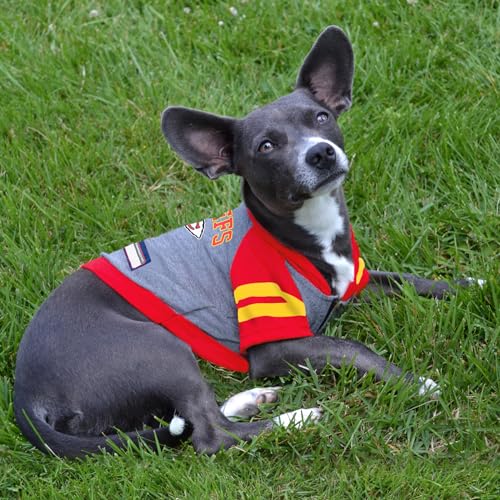 Kansas City Chiefs Dog Hoodie - NFL Football Team Apparel for Pets - Medium