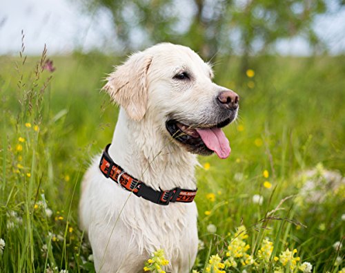 NHL Adjustable Dog & Cat Collar - Stylish Hockey Fan Gear