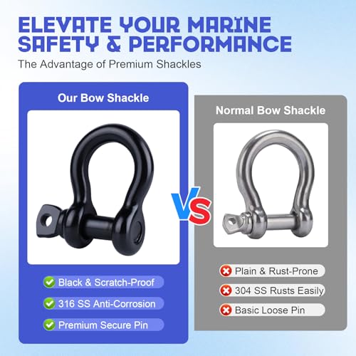 1/4 Inch Black 316 Stainless Steel D-Ring Shackle - Marine Grade