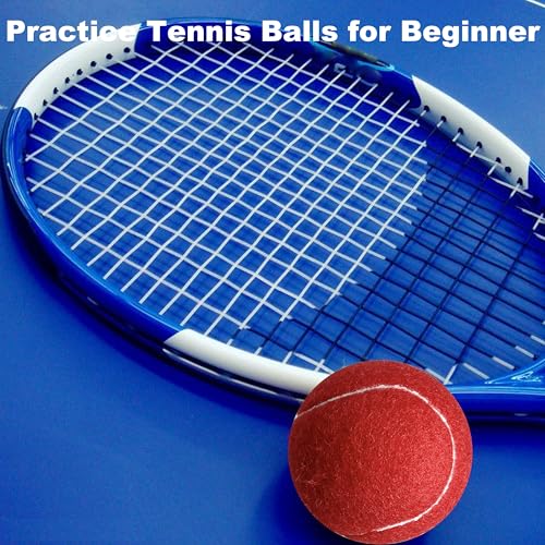 Tennis Balls - 4 Pack Long Lasting Practice Balls for Beginners & Dogs - Red