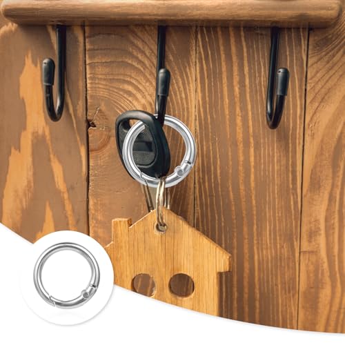 16 Pcs Zinc Alloy Spring O Ring Clip Keychains - Round Carabiners