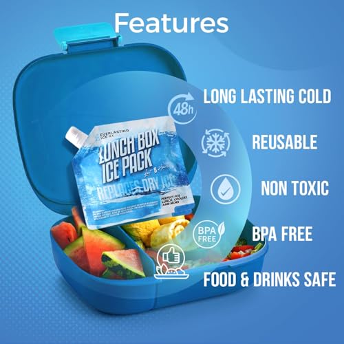 Everlasting Ice RX Reusable Packs for Cooler (4 Pack) Up to 48 Hours