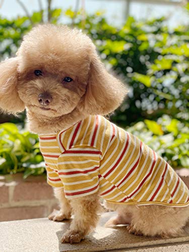 Knuffelen Medium Dog Shirt 2-Pack Cotton Striped T-Shirts for Small Dogs, Blue & Yellow