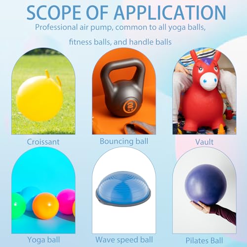 12-Piece Exercise Ball Plug Replacement Kit with Remover Tool