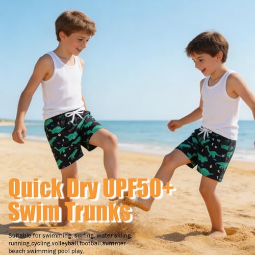 Boys Swim Trunks Quick Dry Board Shorts - Black Dinosaur, 3-4T